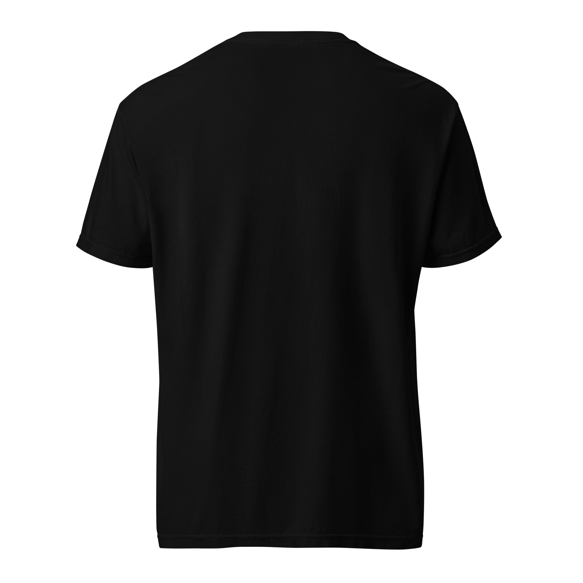 Grey on Black CW90 T-shirt